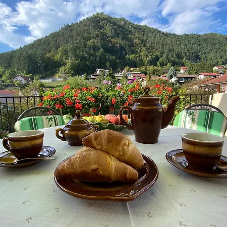 сarpe Diem * Laško