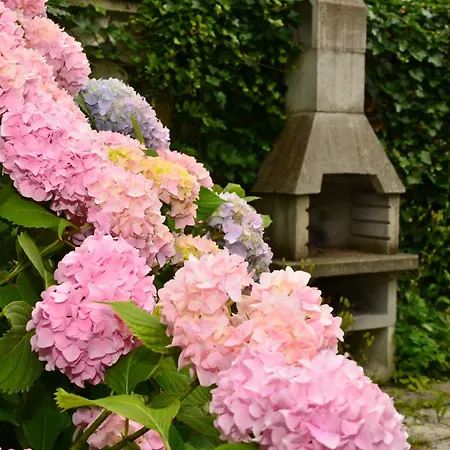 сarpe Diem Appartement *