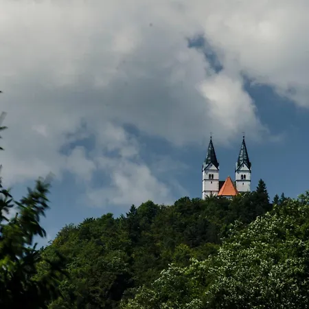 Appartement сarpe Diem