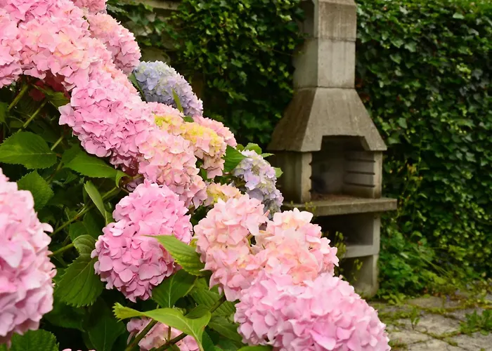 сarpe Diem Lägenhet *