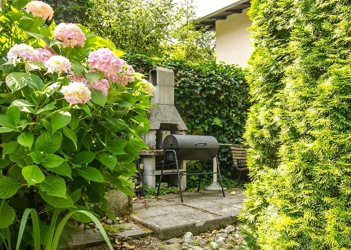 Appartement сarpe Diem